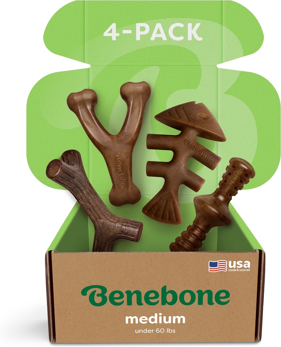 Benebone medium four-pack with four chew shapes